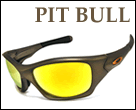 PIT BULL(sbgu)